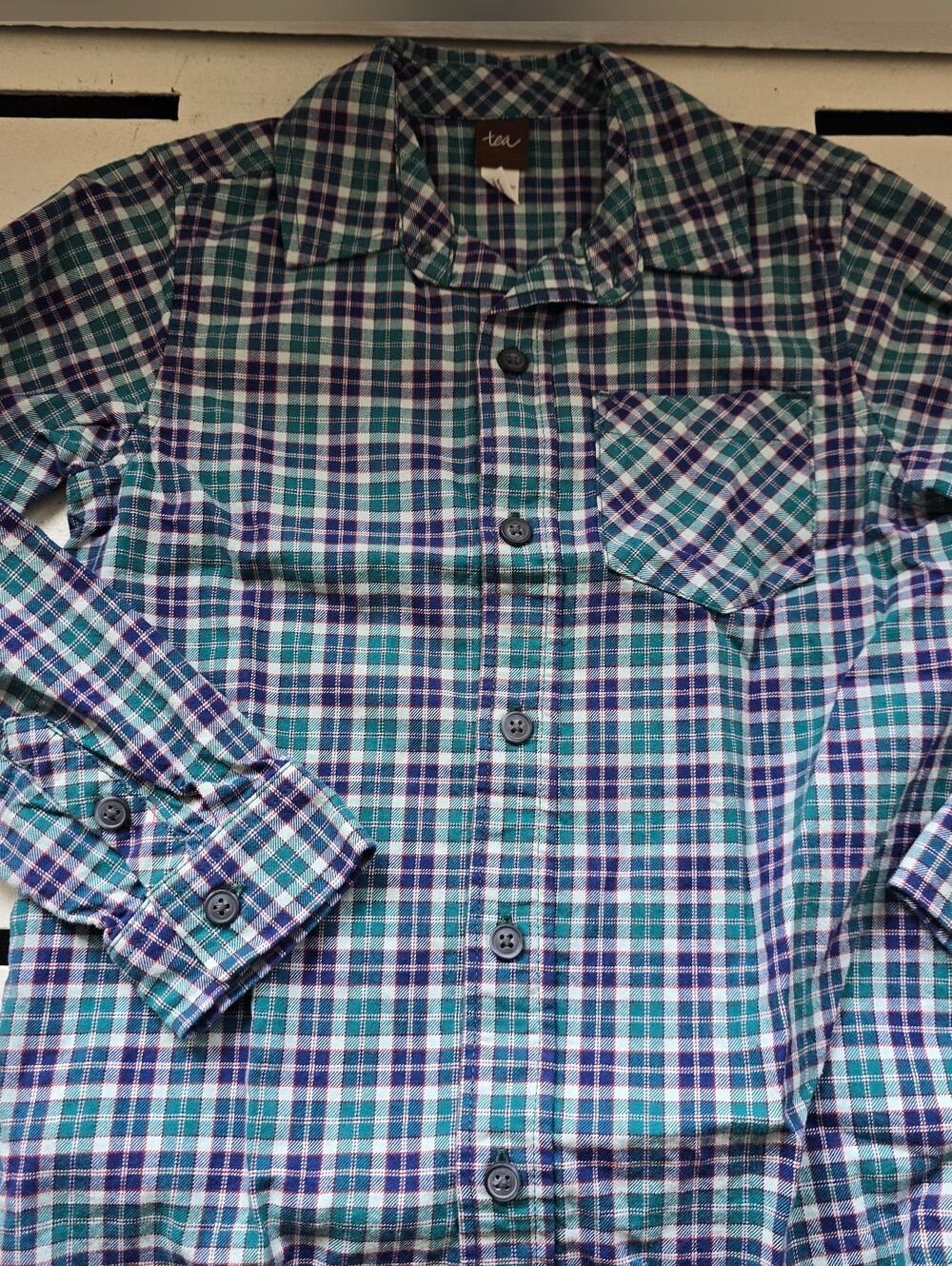 Tea Collection Blue & Green Plaid Button-Down Shirt